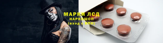 ПСИЛОЦИБИНОВЫЕ ГРИБЫ Артём