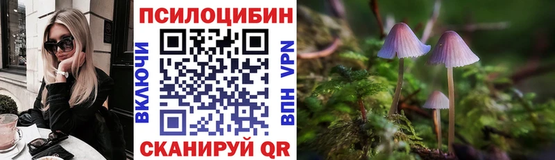 даркнет сайт  гидра маркетплейс  Галлюциногенные грибы MAGIC MUSHROOMS  Зубцов 